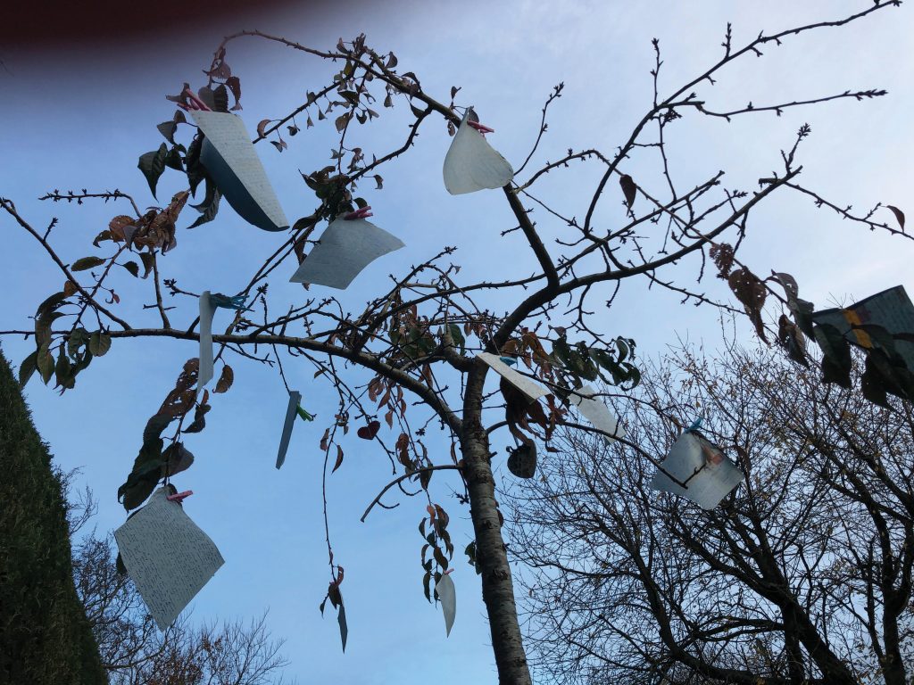 looking up to a small cherry tree with letters attached to the branches, blue sky in the background